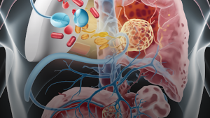 demonstration of medicines in a human body