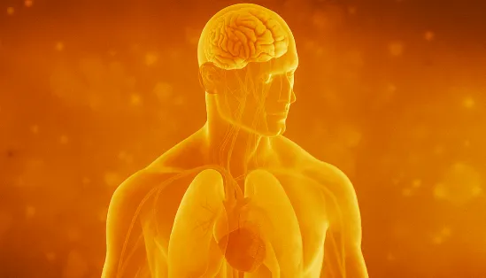 types of medical animation