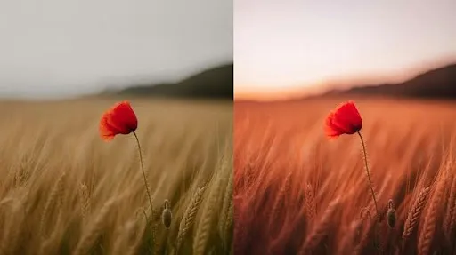 Before and after effect of color grading