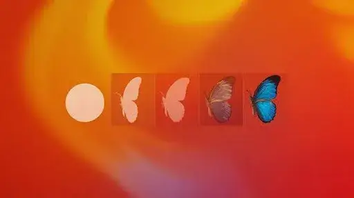 Morphing in animation