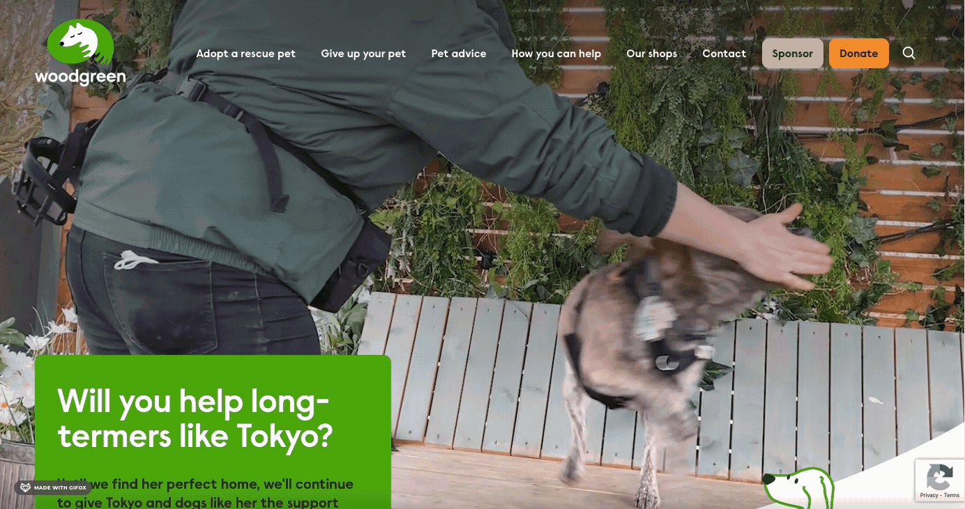 2022 07 14 16.55.08 2022 07 14 16.55.08