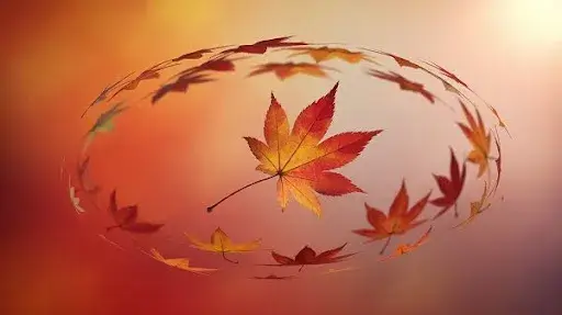 example of follow through and overlapping