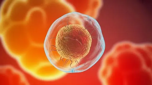 A 3D animated representation of a nucleus A 3D animated representation of a nucleus