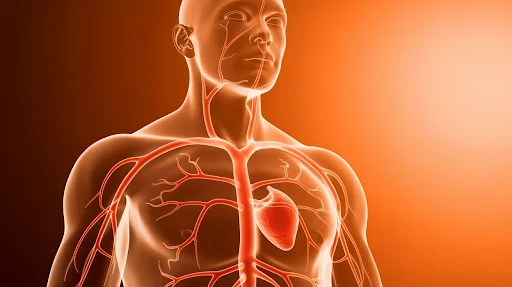 An example of medical animation