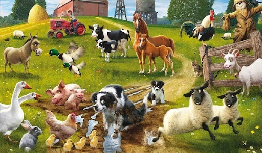 Animal Farm wallpaper