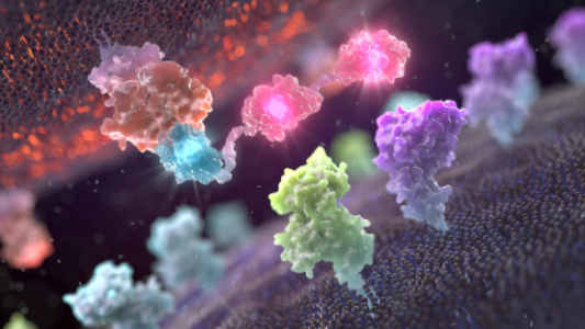 3D Scientific Animation
