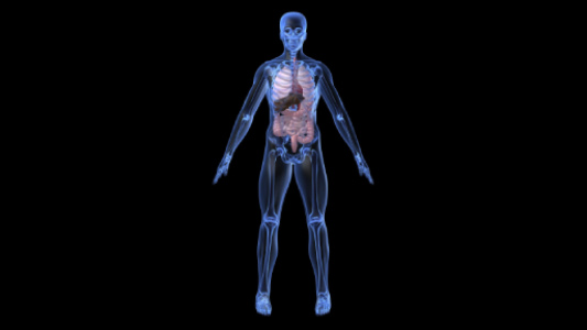 3d medical animation services