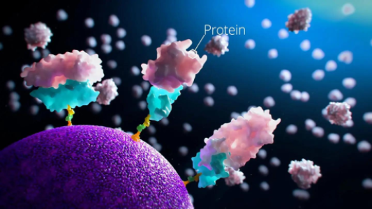 Applications of Drug Mechanism Animation