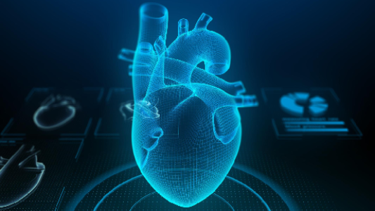 Medical Illustration and Animation