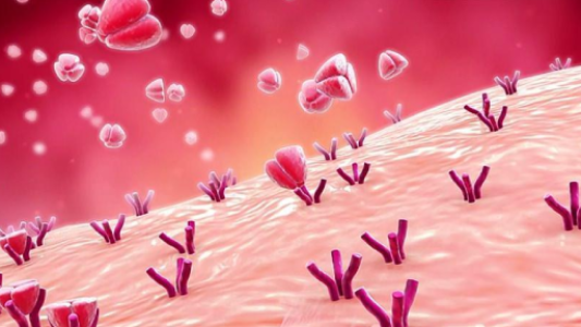 Pharmaceutical Companies Need Drug Mechanism Animations