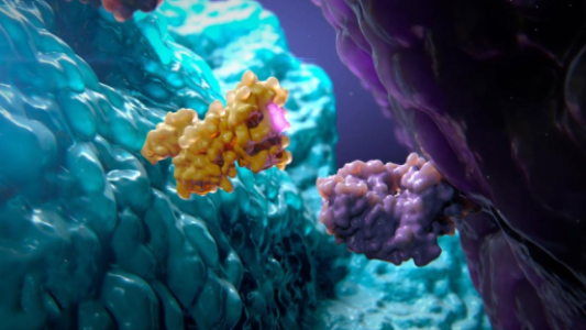 biotech services