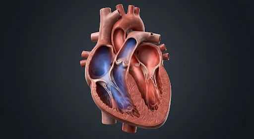 medical and scientific 3d animation