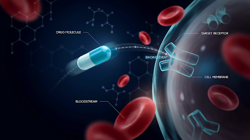 3D animated mechanism of action