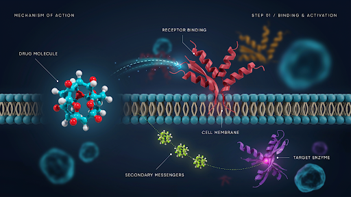 A visual display of the drug mechanism of action animation process