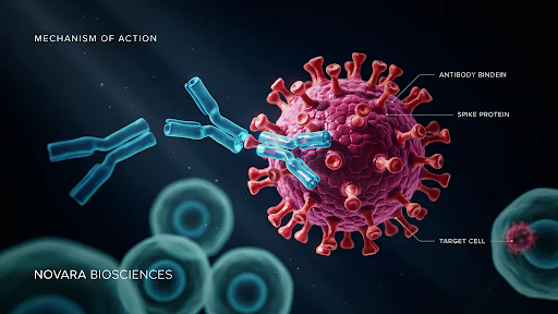 An example of biotech brands using mechanism of action animation