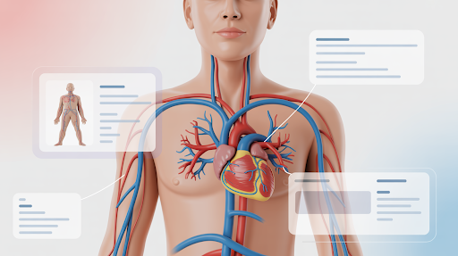 Animated visuals of a complex human anatomy