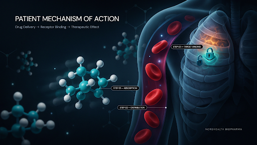 Patient-related mechanism of action animation