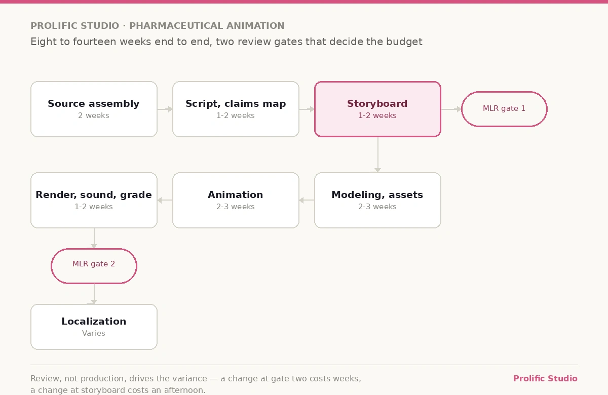 pharma_animation_build_process